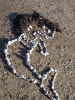 Abtauchen 2012 - Fehmarn