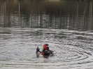 Neujahrstauchen 2012_14