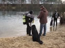 Neujahrstauchen 2012_20
